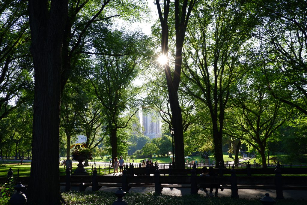 Central Park